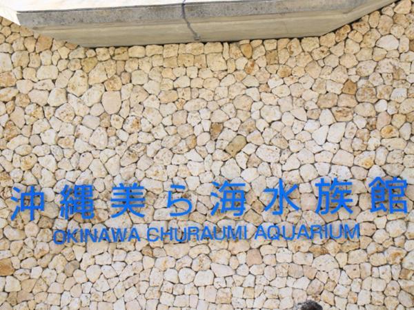Kariyushi Condominium Resort Nago Rb Villa Nakijin Dış mekan fotoğraf