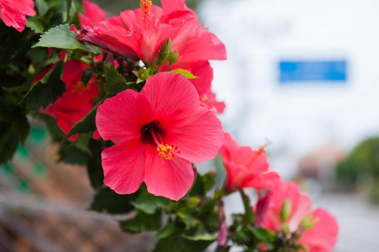 Kariyushi Condominium Resort Nago Rb Villa Nakijin Dış mekan fotoğraf
